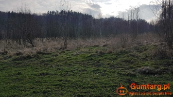 Działka Rolna (8600 m2) gmina Lubań (Kościelnik)