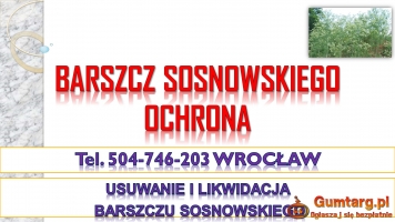 Usunięcie barszczu Sosnowskiego, tel. 504-746-203, Cennik, Wrocław