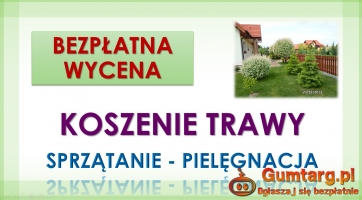 Porządkowanie działek, Wrocław. Tel. 504-746-203, sprzątanie ogródka