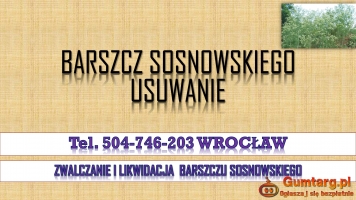 Barszcz Sosnowskiego, cennik, tel. 504-746-203, Wrocław.