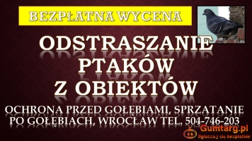 Zabezpieczenie budynku przed gołębiami, tel. 504-746-203