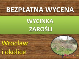 Obcięcie żywopłotu cennik tel 504-746-203. Skrócenie żywopłotu, tui, W