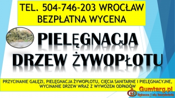 Przycinanie gałęzi, cena tel. 504-746-203, Wrocław,  wycinka