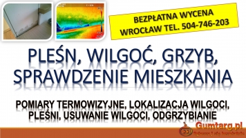 Wykrycie grzyba w mieszkaniu, tel. 504-746-203, Wrocław, lokalizacja