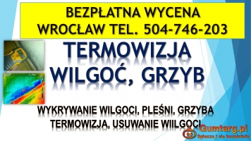 Wykrycie pleśni, tel. 504-746-203. Wrocław, wykrywanie, pleśń
