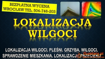 Odgrzybianie mieszkania, cena, tel. 504-746-203. Wrocław. Termowizja