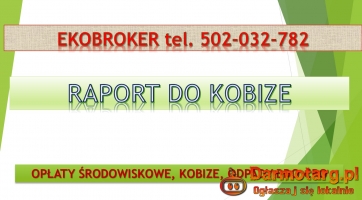 Wypełnienie raportu do Kobize, cena, tel. 504-746-203. Krok po kroku.