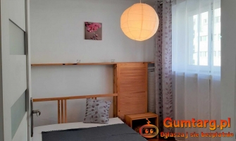 2pok, 34met, Okolice Rynku KOMÓRKA (Wrocław)