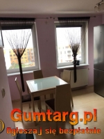 1pok, 40met, Okolice Zielnej (Wrocław)