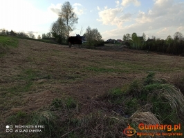 Działka rolno-budowlana (5600m2) ul. Leśna MEDIA (Tuchów)