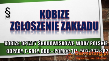 Wypełnienie raportu do Kobize, cena, tel. 504-746-203. Krok po kroku.