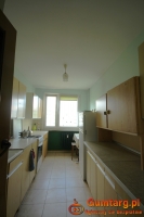 2pok, 50met, okolice Balonowej BALKON/PIWNICA/WINDA (Wrocław)