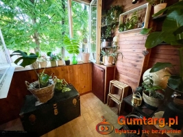 2pok, 69met, Okolice Wandy ROZKŁAD/BALKON/PIWNICA (Wrocław)