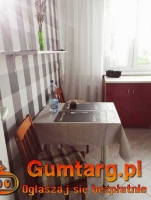 2pok, 42met, okolice Borowskiej PIWNICA/WINDA/PARKING (Wrocław)