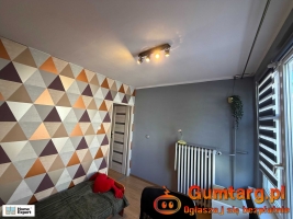 3pok, 47met, okolice Rynku PO REMONCIE/PIWNICA (Wrocław)