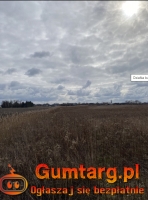 Działka Budowlana (1454 m2) ul. Leśna MEDIA (Dobrzykowice)