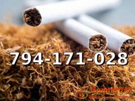 Bardzo dobrej jakości tani TYTOŃ na wagę 110 PLN/1KG