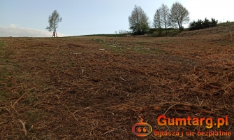 Działka rolno-budowlana (5600m2) ul. Leśna MEDIA (Tuchów)