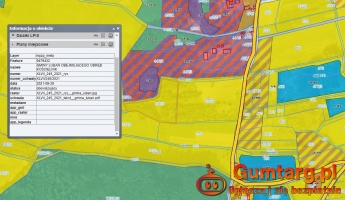 Działka Rolna (8600 m2) gmina Lubań (Kościelnik)