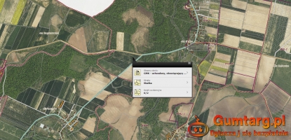 Działka Rolna (37800 m2) gm. Kąty Wrocławskie (Skałka)