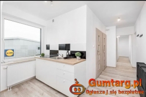 5pok, 69met, Okolice Drohobyckiej ROZKŁAD/2016 (Wrocław)