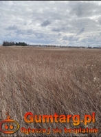 Działka Budowlana (1454 m2) ul. Leśna MEDIA (Dobrzykowice)