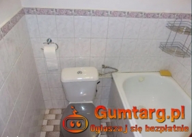 1pok, 19met, Okolice Placu Legionów BALKON/PIWNICA (Wrocław)