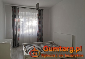 2pok, 53met, Okolice Hallera ROZKŁAD/KOMÓRKA (Wrocław)