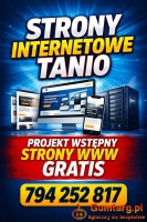Tanie strony WWW + projekt wstępny strony internetowej za darmo