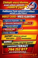 Opublikujemy Twoje ogłoszenie na setkach portali + darmowa strona WWW 