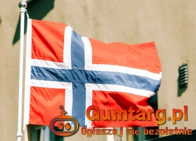 Tłumaczenia dokumentów samochodowych z języka norweskiego