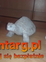 Żółw ogrodowy