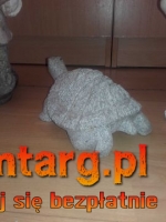 Żółw ogrodowy