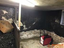 OSUSZANIE BUDYNKÓW WYNAJEM OSUSZACZY