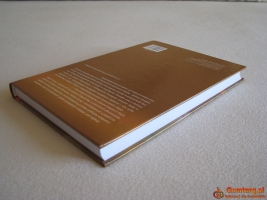 Bankructwa przedsiębiorstw – wybrane aspekty instytucjonalne Mączyńska