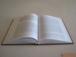 Bankructwa przedsiębiorstw – wybrane aspekty instytucjonalne Mączyńska