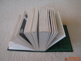 Sylwetki radzieckiego ekranu Galina Dołmatowska, Irina Szyłowa