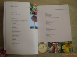 Choroby dziecięce – Naturalne sposoby leczenia, B. Laue, A. Salomon