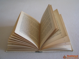 Kapitan Fracasse, Teofil Gautier