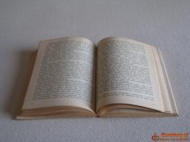 Przygody Hucka, Mark Twain