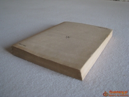 Panienka z okienka, Deotyma (Jadwiga Łuszczewska)