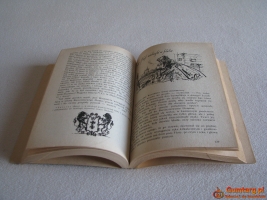 Panienka z okienka, Deotyma (Jadwiga Łuszczewska)