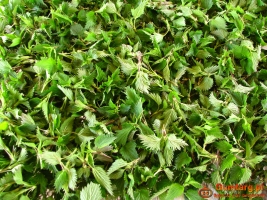 Pokrzywa i skrzyp polny suszony z łąk