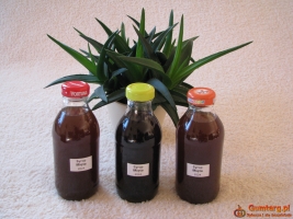 Domowy syrop z mięty pieprzowej mocno skoncentrowany niskosłodzony0,3l
