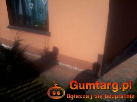 Skuteczne osuszanie budynków i odgrzybianie ścian. Pozbądź się wilgoci