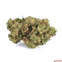 1 KG Susz konopny CBD Harlequin VR big Premium