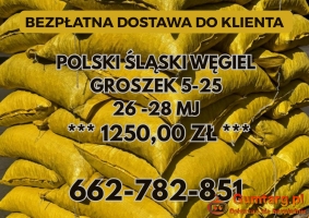 POLSKI WĘGIEL : GROSZEK 5-25, 26-28MJ - Transport Gratis !