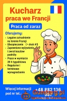 Kucharz praca we Francji