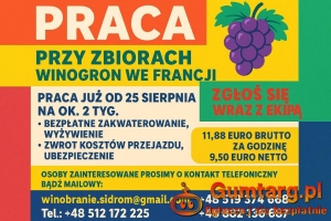 WINOBRANIE FRANCJA