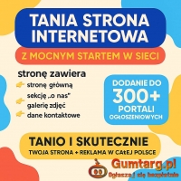 Tania strona internetowa z mocnym startem w sieci